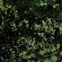 گرانیت سبز تیره (Dark Granite Green)